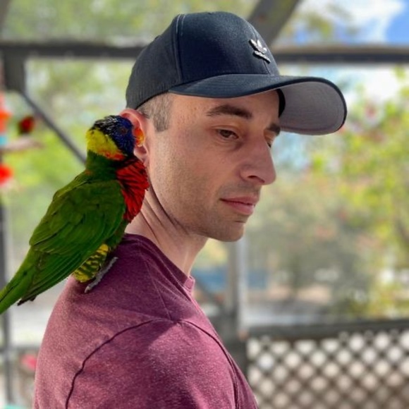 bluej33